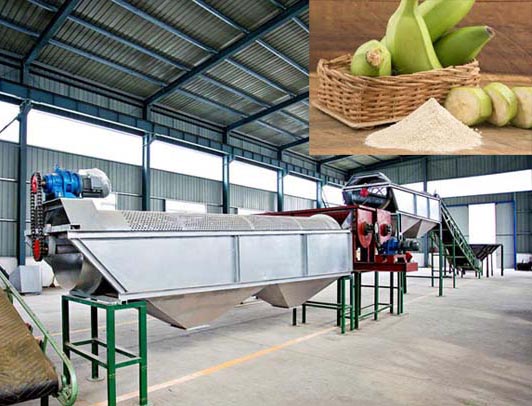 Máquina de processamento de farinha de banana